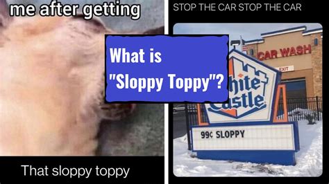 define sloppy toppy